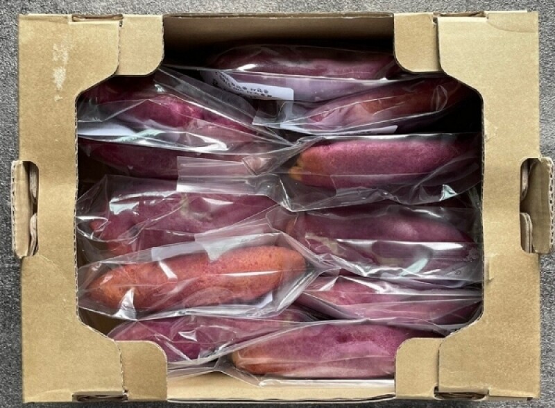 오후2시,오후두시 구황작물 감자빵(10개입)